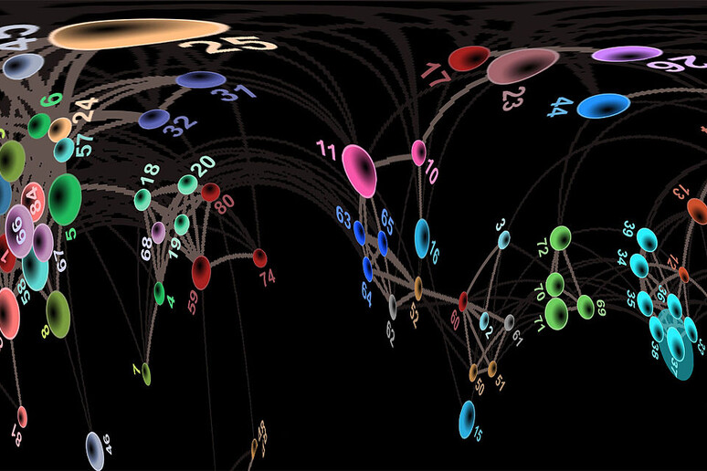 Rappresentazione grafica della rete di relazioni fra gli anticorpi (fonte: Aida Pitarch da Wikipedia) - RIPRODUZIONE RISERVATA