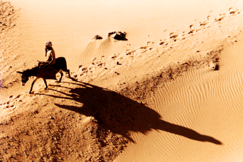 Un uomo in sella ad un asino nel deserto del Sudan (fonte: © André Vila) - RIPRODUZIONE RISERVATA