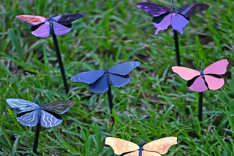 Sono leggerissime e sfruttano un fenomeno simile a quello osservato sulle ali delle farfalle, le vernici supersottili ispirate alla fisica quantistica (fonte: Università della Florida Centrale) - RIPRODUZIONE RISERVATA