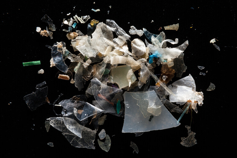 Microplastics (Credit: Chesapeake Bay Program, Flickr Creative Commons) - RIPRODUZIONE RISERVATA