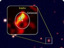 Immagine radio realizzata con il Very Large Array (VLA) della regione di formazione stellare. La croce indica il lampo radio veloce (fonte: G. Bruni, B. O’Connor) (ANSA)