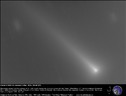 La cometa C/2021 A1 Leonard vista dal Virtual Telescope (fonte: Virtual Telescope) (ANSA)