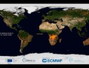 Il 2021 è stato un anno nero per gli incendi a livello globale con emissioni record (fonte: Copernicus Atmosphere Monitoring Service/ECMWF) (ANSA)
