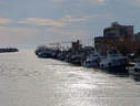 I pescherecci della flotta di Fiumicino ormeggiati nel porto canale in una foto d'archivio (ANSA)
