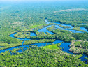 Vista aerea della foresta amazzonica nella zona di Manaus (fonte: Neil Palmer/CIAT da Flickr) (ANSA)