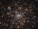 Una concentrazione di buchi neri vista dal telescopio spaziale Hubble (fonte: NASA, ESA, T. Brown, S. Casertano, J. Anderson/STScI) (ANSA)