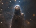 La Nebulosa Cono è un pilastro lungo sette anni luce formato da scure e impenetrabili polveri e gas (Fonte: ESO) (ANSA)