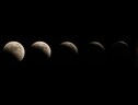 L'eclissi totale di Luna, l'ultima fino al 2025 (ANSA)