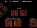Webb ha fotografato una parte della Grande Nube di Magellano (fonte: Nasa/StScI) (ANSA)