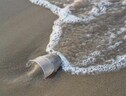 Le bioplastiche si degradano lentamente in mare e sulla sabbia (fonte: Pixabay) (ANSA)