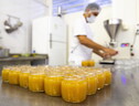 Italia e altri 18, trasparenza su origine in etichetta miele (ANSA)