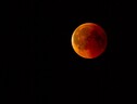 Un'eclissi totale di Luna (fonte: Pixabay) (ANSA)