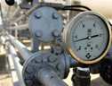 Sefcovic, primi acquisti congiunti di gas prima dell'estate (ANSA)