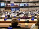 Comitato delle regioni, "Ue cambi regole sui fondi agli agricoltori" (ANSA)