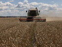 Polonia e Ucraina raggiungono l'intesa sull'import e prodotti agroalimentari ucraini (ANSA)
