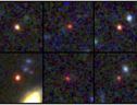 Le immagini delle 6 galassie com'erano 500-700 mln di anni dopo il Big Bang (fonte: NASA, ESA, CSA, I. Labbe (Swinburne University of Technology). Image processing: G. Brammer (Niels Bohr Institute’s Cosmic Dawn Center at the University of Copenhagen)) (ANSA)