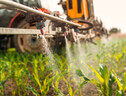 L'uso di pesticidi in Italia nel 2021 è calato del 43% (ANSA)