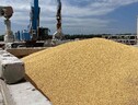 Commissione, 'al lavoro con Paesi dell'Est per garanzie su grano ucraino' (ANSA)
