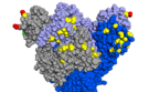 Rappresentazione grafica delle mutazioni presenti sulla proteina Spike della variante Omicron del virus SarsCoV2 (fonte: Opabinia regalis da Wikipedia) (ANSA)