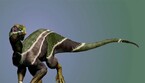 Rappresentazione artistica del nuovo dinosauro Iani smithi (fonte: J. Gonzalez) (ANSA)