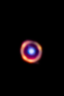La galassia distante 12 miliardi di anni luce, in falsi colori. In arancione, le molecole complesse (fonte: J. Spilker / S. Doyle, NASA, ESA, CSA) (ANSA)