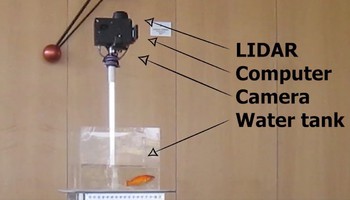 Il sistema robotizzato che permette al pesce rosso di guidare l’acquario su quattro ruote (fonte: Università Ben Gurion del Negev) (ANSA)