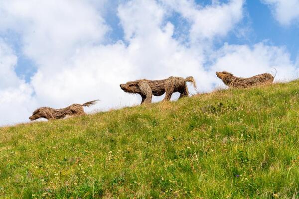 Landart in Val di Fassa, prendono forma cinque lupi in legno © ANSA