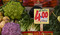 Prezzi esposti sulla merce di un negozio 'Frutta e verdura' di Napoli in una foto di archivio (ANSA)