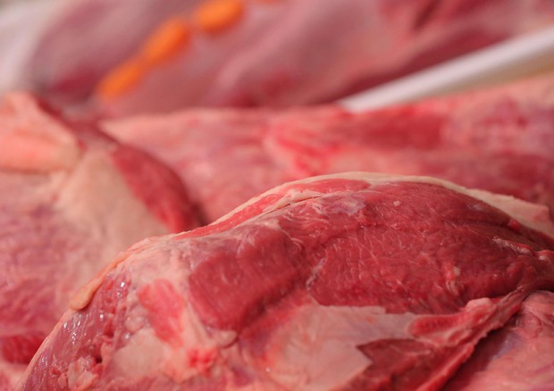 Crea, carne rossa consumata dal 48,5% 1-2 volte/settimana (foto Eurocarne) © ANSA