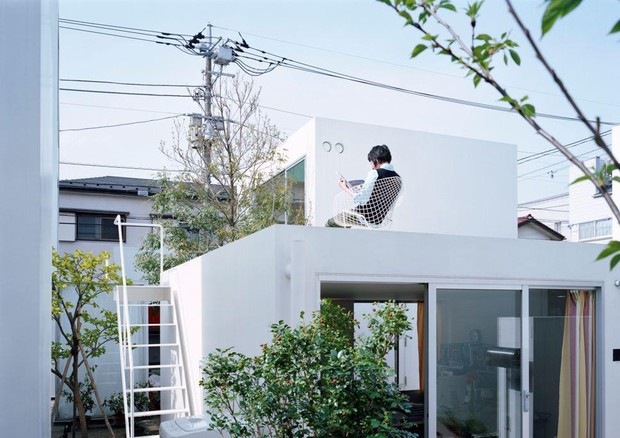 Mostra Maxxi The Japanese House. Fujimoto (ANSA)