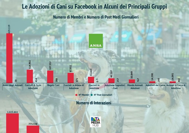 L'infografica fornisce il dettaglio dei dati di tutte e nove le pagine Facebook analizzate © Ansa
