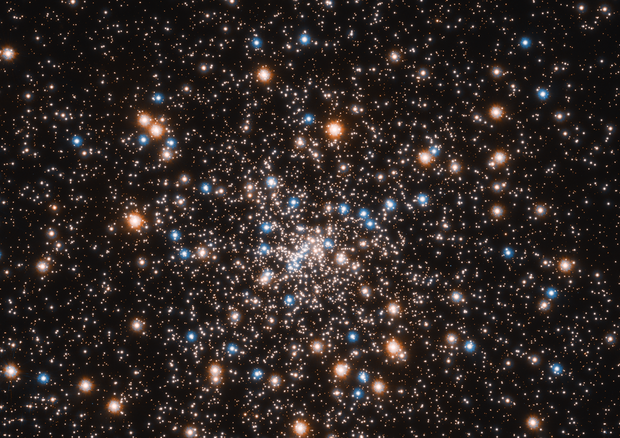 Una concentrazione di buchi neri vista dal telescopio spaziale Hubble (fonte: NASA, ESA, T. Brown, S. Casertano, J. Anderson/STScI) © Ansa