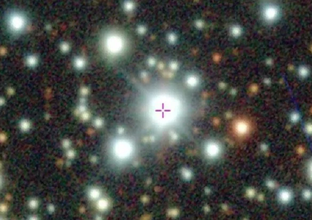Nel mirino l'oggetto TIC 400799224 (fonte: Powell et al., The Astronomical Journal, 2021) © Ansa