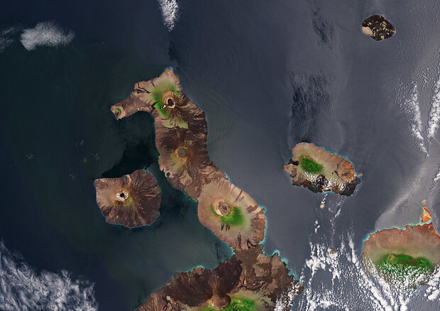 Le isole Galapagos con i loro cinque vulcani (il Sierra Negra è il quarto partendo dall'alto)  (fonte: ESA, CC BY-SA 3.0 IGO) © Ansa