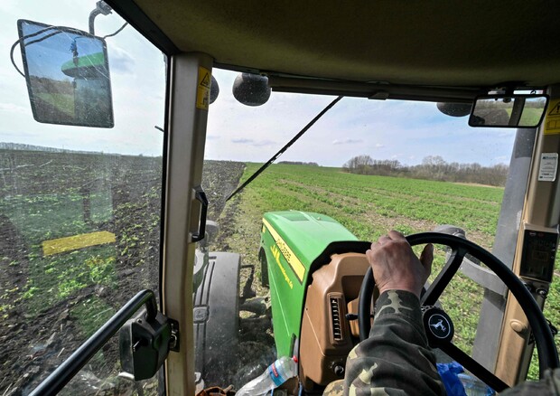 Ue, 'sul grano ucraino problemi ma serve un approccio europeo' © AFP