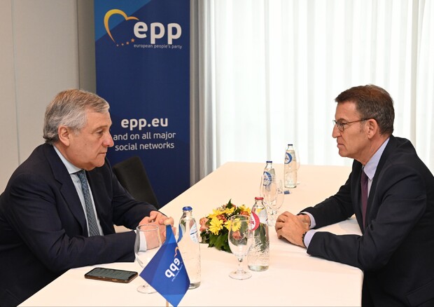 Tajani, 'nostre critiche lecite ma rispettiamo la Bce' © ANSA
