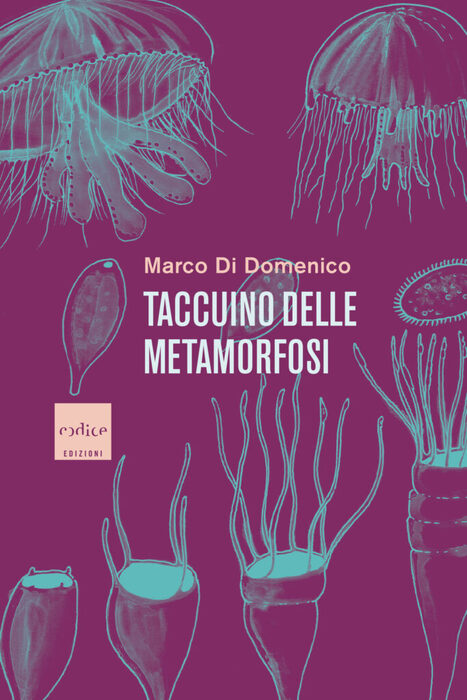 ‘Taccuino delle metamorfosi’ di Marco Di Domenico (Codice Edizioni, 292 pagine, 21 euro) © Ansa