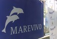 Rifiuti: riparte la campagna anti-littering di Marevivo e Bat (ANSA)