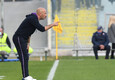 L'allenatore della Fiorentina Vincenzo Italiano (ANSA)