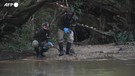 Colombia, 50 tartarughe vittime di traffico illegale rilasciate nel loro habitat naturale (ANSA)