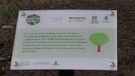Ambiente, 1.400 nuove piante per il Parco nazionale dell'Alta Murgia(ANSA)