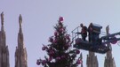 Milano, in piazza Duomo si allestisce l'albero di Natale (ANSA)