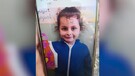 Bambina di cinque anni rapita da uomini armati nel Catanese (ANSA)