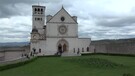 Ad Assisi le olive per la pace dell'artista Giuseppe Carta (ANSA)