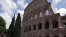 Colosseo, tour operator: 