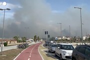 La morsa dei roghi: a Pescara brucia la pineta, fuga dalle spiagge