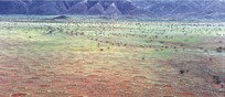 Cerchi delle fate in Namibia (fonte: Stephan Getzin, Wikipedia)