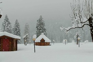 Torna la neve sulle Dolomiti, quasi mezzo metro a Falcade (ANSA)
