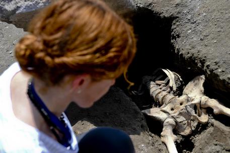 L'antropologa Amoretti illustra all'ANSA lo scheletro dell'uomo ritrovato a Pompei ANSA7 CIRO FUSCO © ANSA