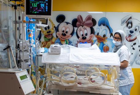 Alcune incubatrici in un ospedale di Casablanca © AFP